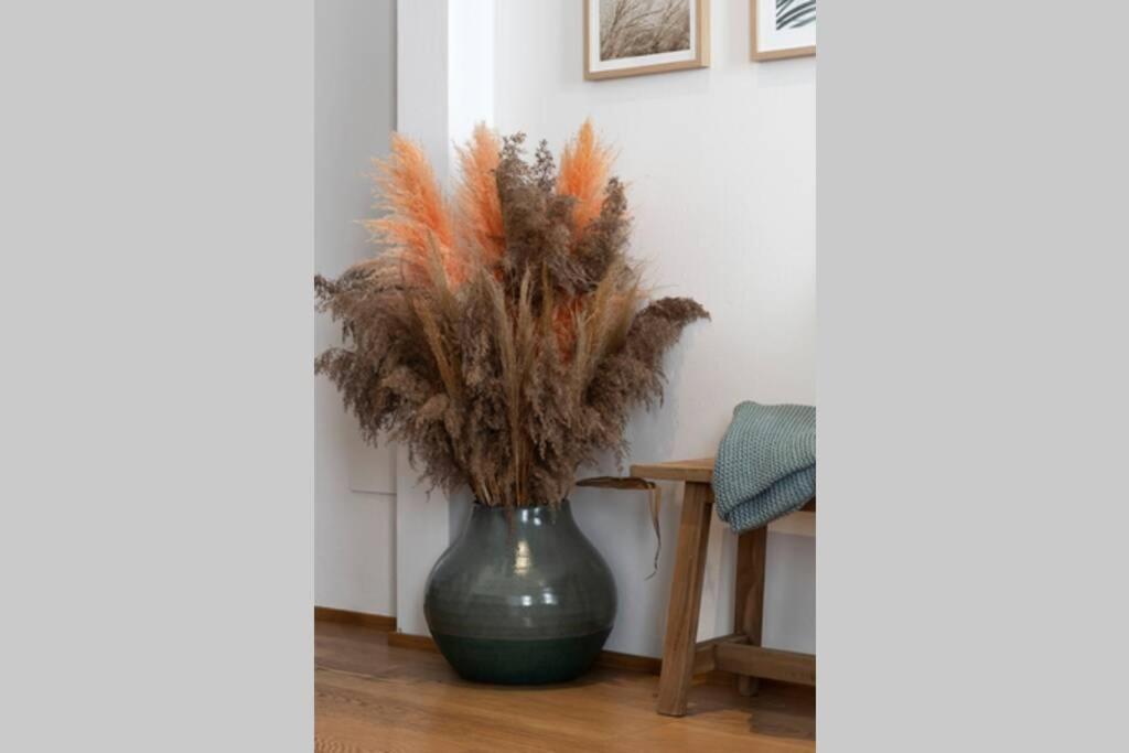 Trevisohome Fuori Mura * Treviso